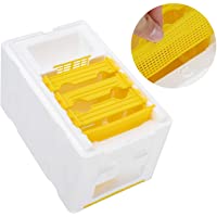 Caja de Cola de Abeja- Mini Caja Anti-Escape fácil de Usar Caja de cría de Abejas- Herramientas de Apicultor Grupo de…